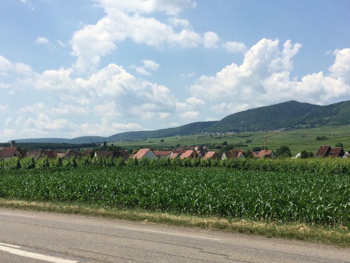 Gite "Smart'In" - Parking Offert Eguisheim Exterior photo